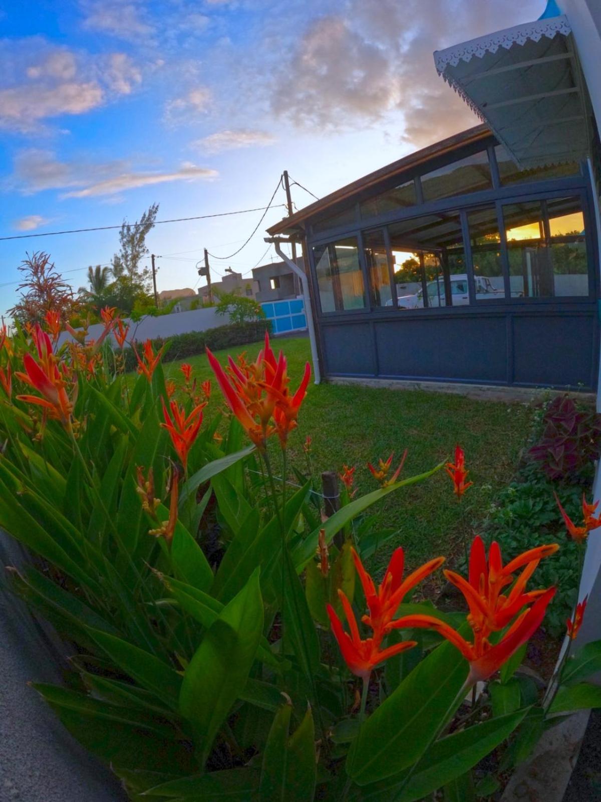 Cozy 1 Room - Holiday Home Short Term Rental - La Gaulette Le Morne Exterior foto